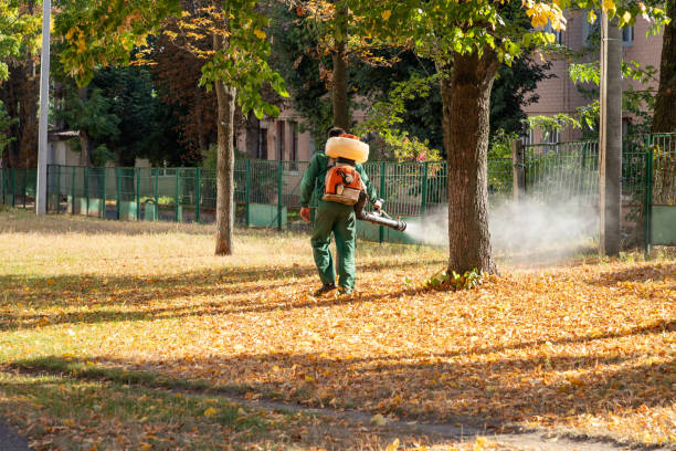 Best Termite Control Services  in Superior, CO